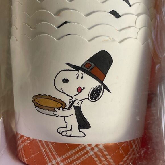 Peanuts “Snoopy” 50 Count Fall Pilgrim Thanksgiving Cupcake Liners - Picture 3 of 7